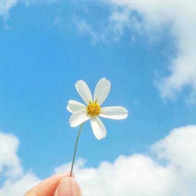 yabo网页版手机版